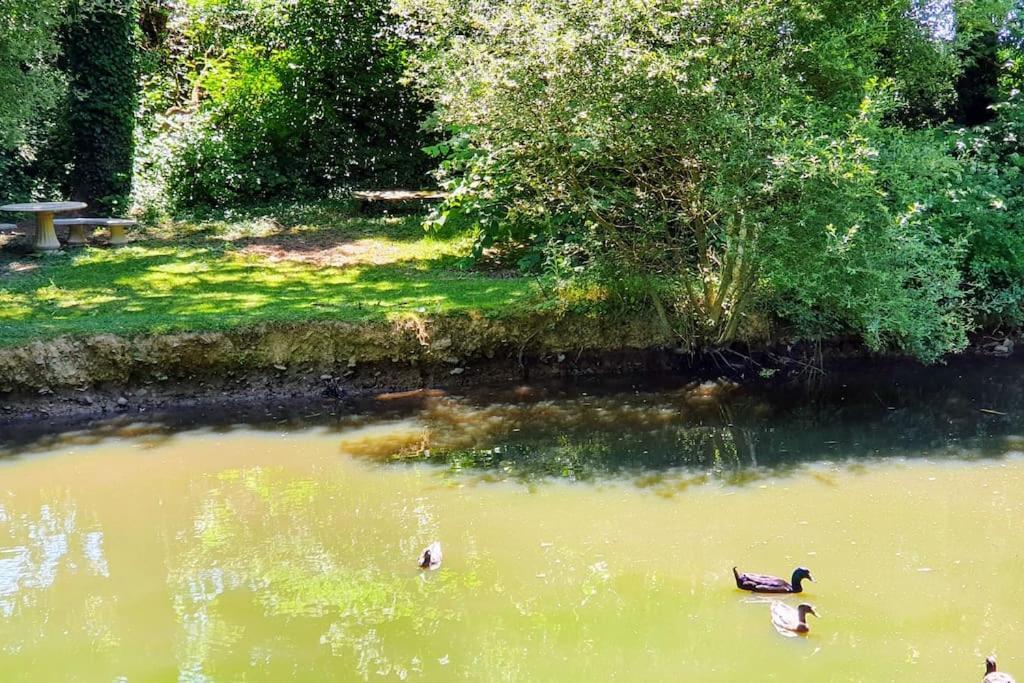 Tout Le Confort Au Milieu D'Un Parc Botanique Noyal-Muzillac Bagian luar foto