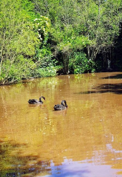 Tout Le Confort Au Milieu D'Un Parc Botanique Noyal-Muzillac Bagian luar foto